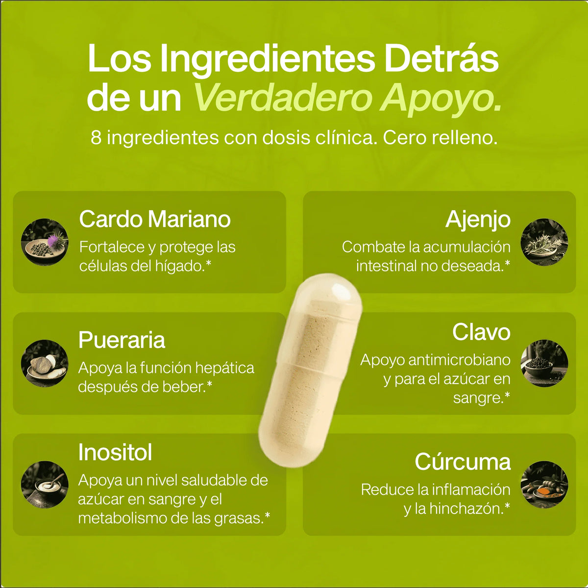 Apoyo Hepático con Cardo Mariano - NUOLA