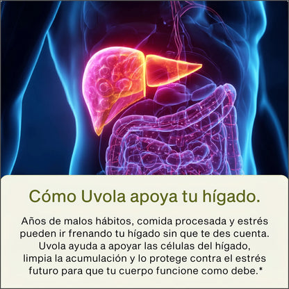 Apoyo Hepático con Cardo Mariano - NUOLA